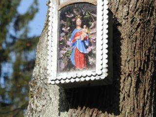 Jeseň v Terchovej 25