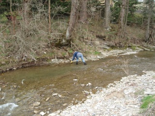 Veľké upratovanie 38