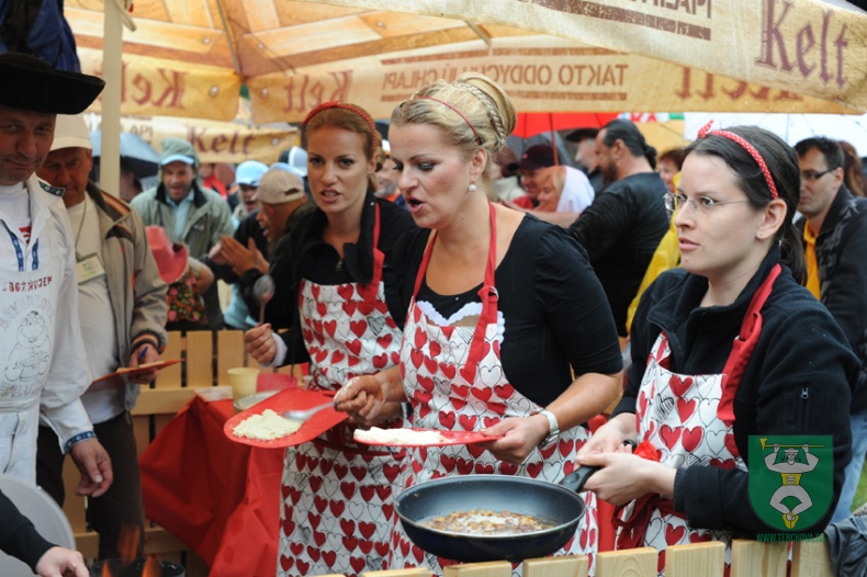 Halušky 2011 36