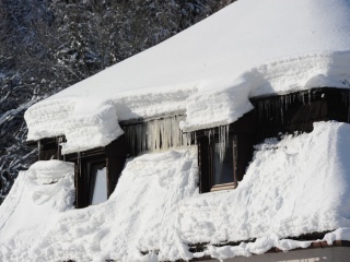 Terchovú prikryla biela perina-9