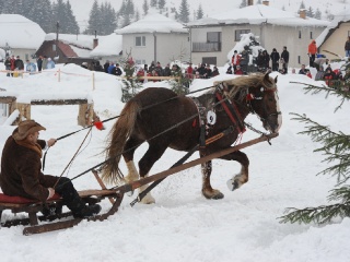 Preteky gazdovských koní 2012-25
