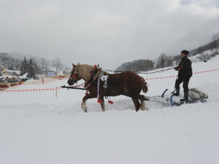 Preteky gazdovských koní 2012-22