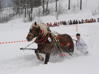 Preteky gazdovských koní 2012-26
