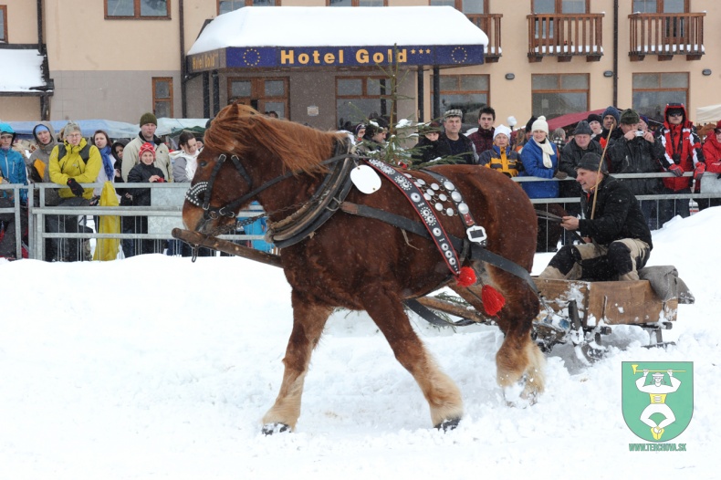 Preteky gazdovských koní 2012-23