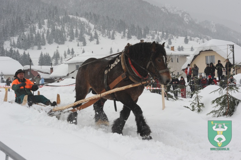 Preteky gazdovských koní 2012-24
