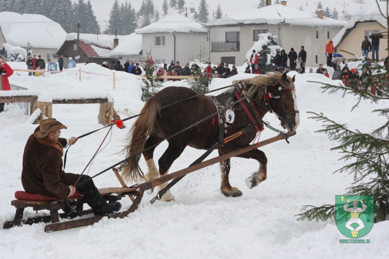 Preteky gazdovských koní 2012-25