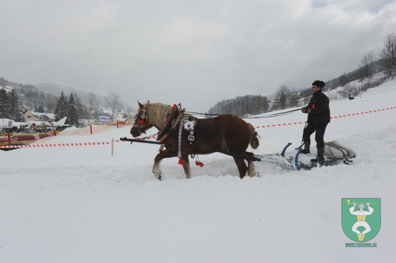 Preteky gazdovských koní 2012-22