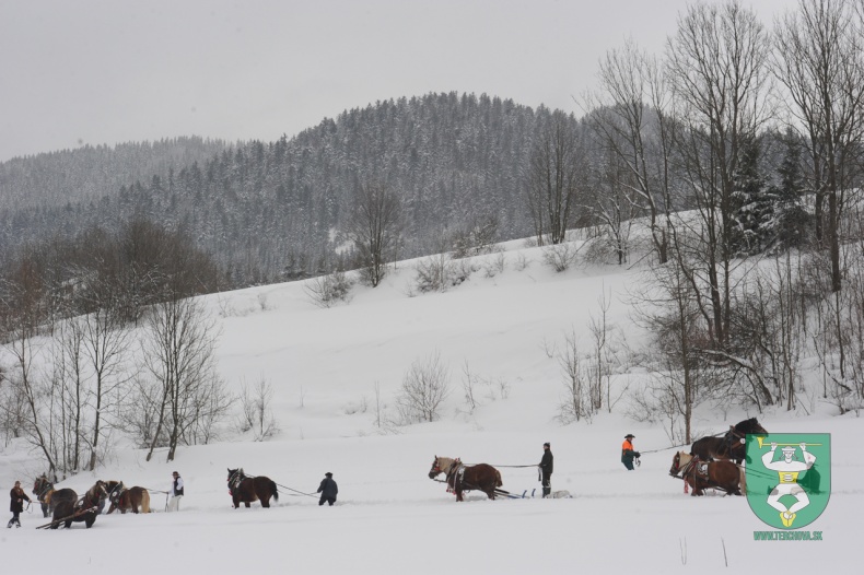 Preteky gazdovských koní 2012-9