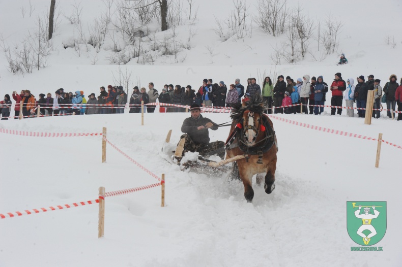 Preteky gazdovských koní 2012-20