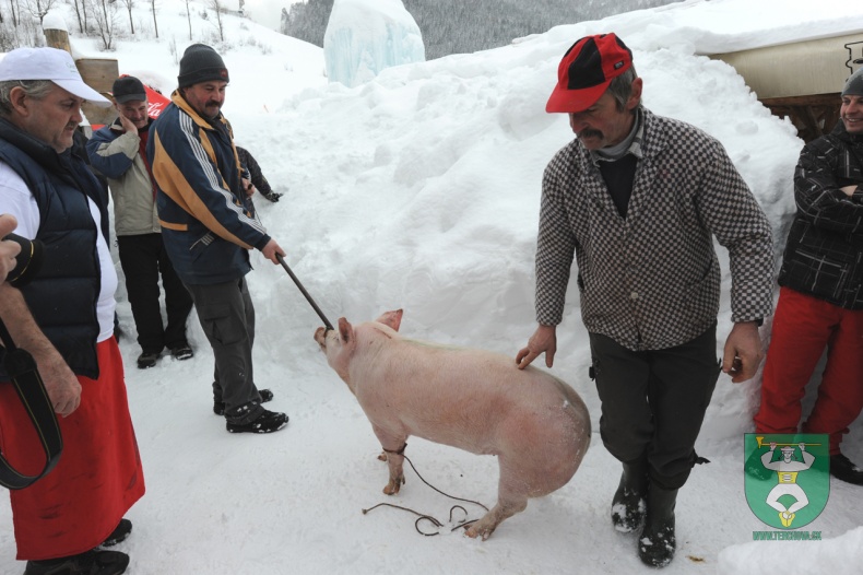 Preteky gazdovských koní 2012