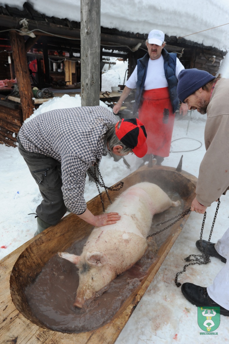 Preteky gazdovských koní 2012-2