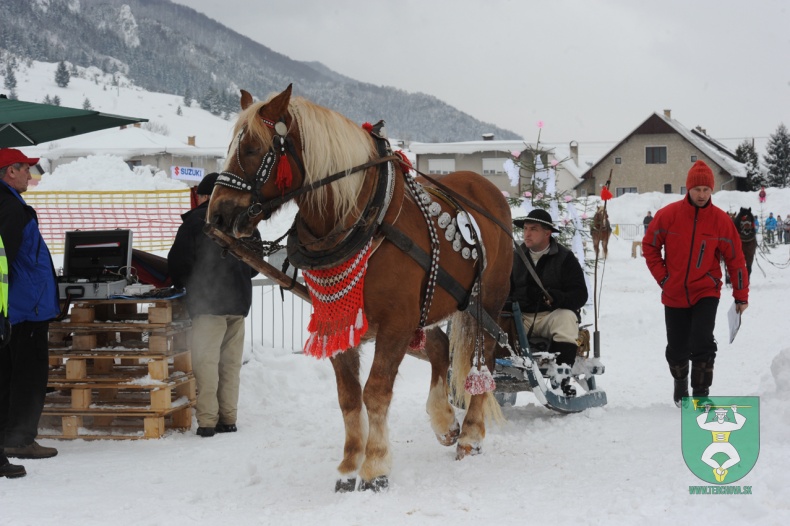 Preteky gazdovských koní 2012-12