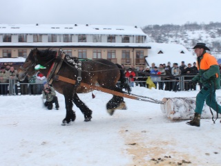 Preteky gazdovských koní-157