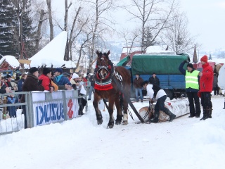 Preteky gazdovských koní-168