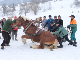 Preteky gazdovských koní-30