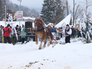 Preteky gazdovských koní-140
