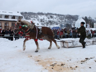 Preteky gazdovských koní-154