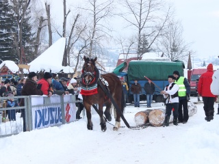 Preteky gazdovských koní-169