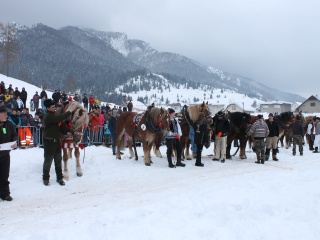 Preteky gazdovských koní-127