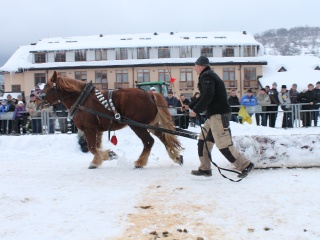 Preteky gazdovských koní-159