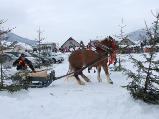 Preteky gazdovských koní-40