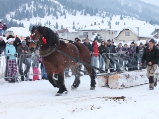 Preteky gazdovských koní-166