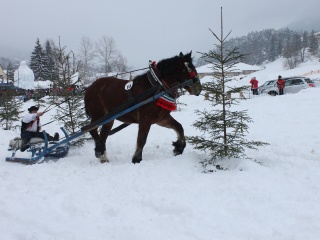 Preteky gazdovských koní-23
