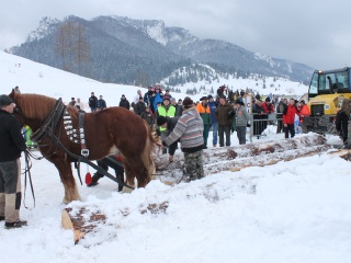 Preteky gazdovských koní-122