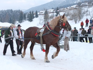 Preteky gazdovských koní-167