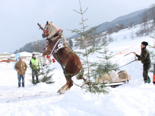 Preteky gazdovských koní-54