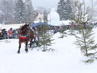 Preteky gazdovských koní-21