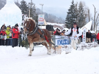 Preteky gazdovských koní-163