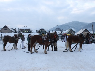 Preteky gazdovských koní-184