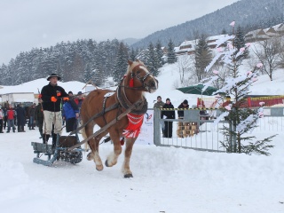 Preteky gazdovských koní-37
