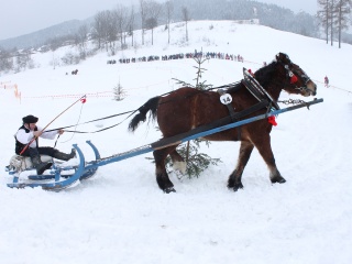Preteky gazdovských koní-24