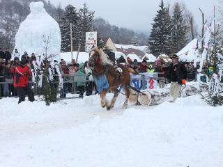 Preteky gazdovských koní-143