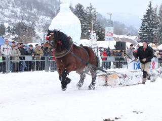 Preteky gazdovských koní-165