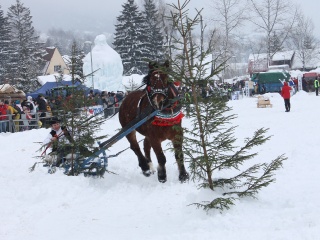 Preteky gazdovských koní-22
