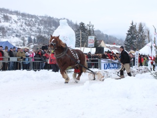 Preteky gazdovských koní-158