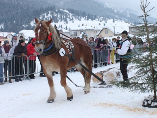 Preteky gazdovských koní-142