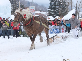 Preteky gazdovských koní-149