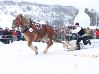 Preteky gazdovských koní-141