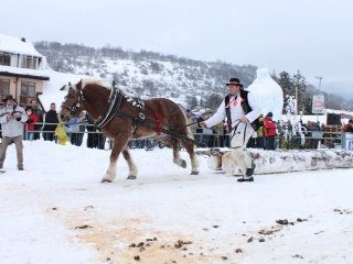 Preteky gazdovských koní-164