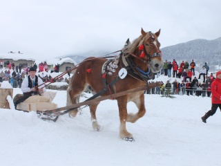 Preteky gazdovských koní-36