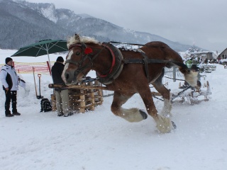 Preteky gazdovských koní-27