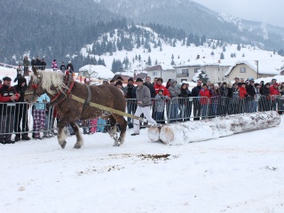 Preteky gazdovských koní-151