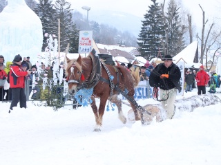 Preteky gazdovských koní-170