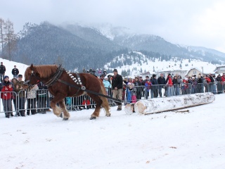 Preteky gazdovských koní-160
