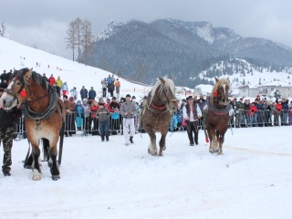 Preteky gazdovských koní-123