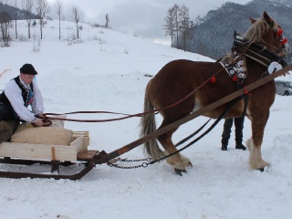 Preteky gazdovských koní-35